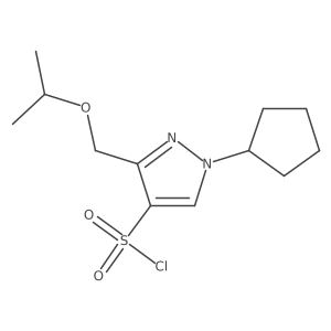 1-cyclopentyl-3-(isopropoxymethyl)-1H-pyrazole-4-sulfonyl chloride结构式