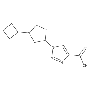1-(1-cyclobutylpyrrolidin-3-yl)-1H-1,2,3-triazole-4-carboxylic acid Structure