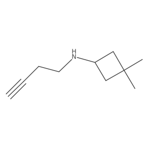 N-(But-3-yn-1-yl)-3,3-dimethylcyclobutan-1-amine结构式