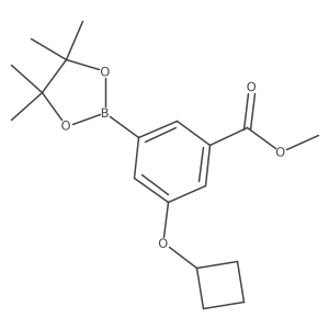 Methyl 3-cyclobutoxy-5-(4,4,5,5-tetramethyl-1,3,2-dioxaborolan-2-YL)benzoate Structure