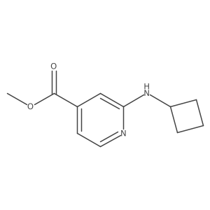 2-Cyclobutylamino-isonicotinic acid methyl ester结构式