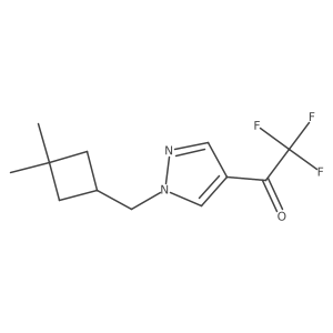 2098074-40-7 structure