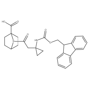 2172244-22-1 structure