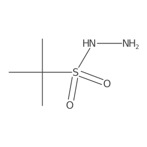 2-Methylpropane-2-sulfonohydrazide Structure