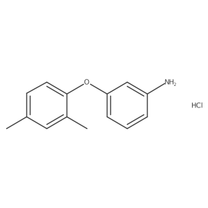 3-(2,4-Dimethylphenoxy)aniline hydrochloride Structure