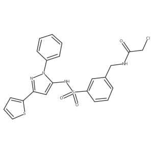 2-chloro-N-[(3-{[1-phenyl-3-(thiophen-2-yl)-1H-pyrazol-5-yl]sulfamoyl}phenyl)methyl]acetamide结构式