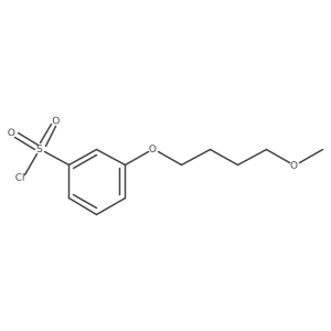3-(4-Methoxybutoxy)benzenesulfonyl chloride结构式