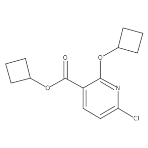 Cyclobutyl 6-chloro-2-cyclobutoxypyridine-3-carboxylate Structure