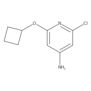 2-Chloro-6-cyclobutoxypyridin-4-amine Structure