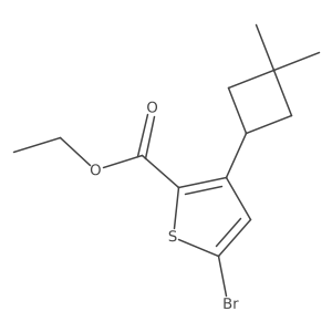 2137980-24-4 structure