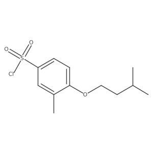 3-Methyl-4-(3-methylbutoxy)benzenesulfonyl chloride Structure