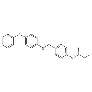 N-[4-(Sec-butoxy)benzyl]-4-phenoxyaniline Structure