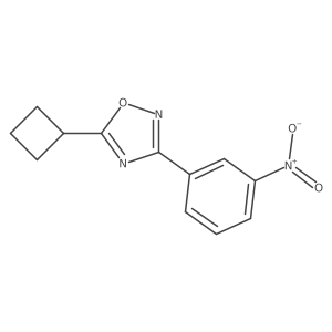 5-Cyclobutyl-3-(3-nitrophenyl)-1,2,4-oxadiazole结构式