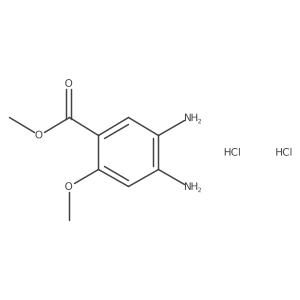 2503202-44-4 structure