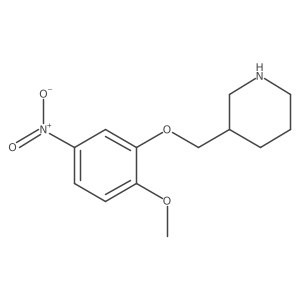 2-Methoxy-5-nitrophenyl 3-piperidinylmethyl ether结构式