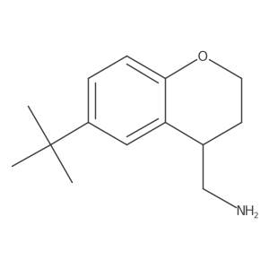 (6-tert-butyl-3,4-dihydro-2H-1-benzopyran-4-yl)methanamine Structure