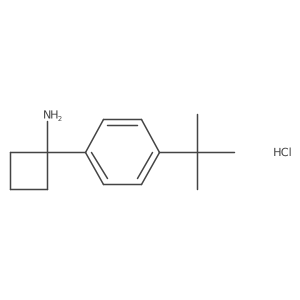 1-(4-(tert-Butyl)phenyl)cyclobutanamine hydrochloride Structure