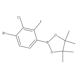 2246613-77-2 structure