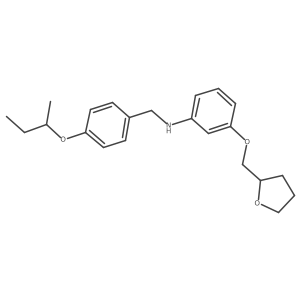 N-[4-(Sec-butoxy)benzyl]-3-(tetrahydro-2-furanylmethoxy)aniline结构式