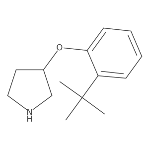 3-(2-Tert-butylphenoxy)pyrrolidine结构式