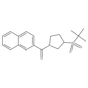 (3-(Tert-butylsulfonyl)pyrrolidin-1-yl)(quinolin-2-yl)methanone结构式