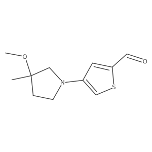 4-(3-Methoxy-3-methylpyrrolidin-1-yl)thiophene-2-carbaldehyde结构式