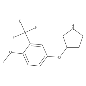 3-[4-Methoxy-3-(trifluoromethyl)phenoxy]pyrrolidine结构式