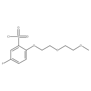 5-Fluoro-2-[2-(2-methoxyethoxy)ethoxy]benzenesulfonyl chloride结构式