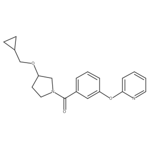 (3-(Cyclopropylmethoxy)pyrrolidin-1-yl)(3-(pyridin-2-yloxy)phenyl)methanone结构式