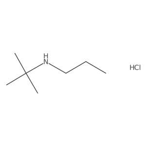 Tert-butyl(propyl)amine hydrochloride Structure