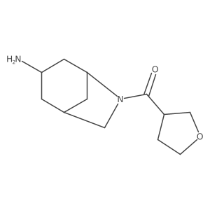 6-(Oxolane-3-carbonyl)-6-azabicyclo[3.2.1]octan-3-amine结构式
