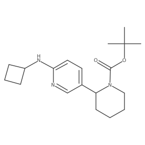 tert-Butyl 2-(6-(cyclobutylamino)pyridin-3-yl)piperidine-1-carboxylate Structure