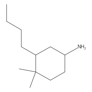 3-Butyl-4,4-dimethylcyclohexan-1-amine结构式