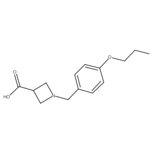 1240308-19-3 structure