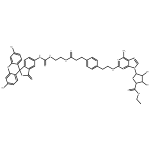 (2S,3S,4R,5R)-5-(6-Amino-2-((4-(3-((2-(3-(3',6'-dihydroxy-3-oxo-3H-spiro[isobenzofuran-1,9'-xanthen]-5-yl)thioureido)ethyl)amino)-3-oxopropyl)phenethyl)amino)-9H-purin-9-yl)-N-ethyl-3,4-dihydroxytetrahydrofuran-2-carboxamide结构式