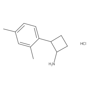 1955541-11-3 structure