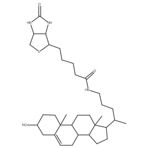 Cholesterol biotin probe for Smoothened Structure