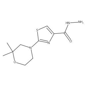 2-(2,2-Dimethylmorpholin-4-yl)-1,3-thiazole-4-carbohydrazide结构式