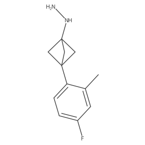[3-(4-Fluoro-2-methylphenyl)-1-bicyclo[1.1.1]pentanyl]hydrazine Structure