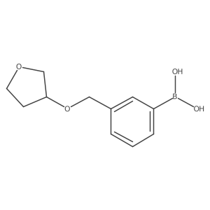 {3-[(Oxolan-3-yloxy)methyl]phenyl}boronic acid结构式