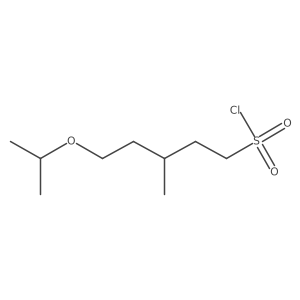 3-Methyl-5-(propan-2-yloxy)pentane-1-sulfonyl chloride Structure