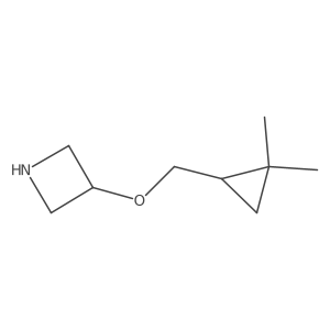 3-[(2,2-Dimethylcyclopropyl)methoxy]azetidine结构式