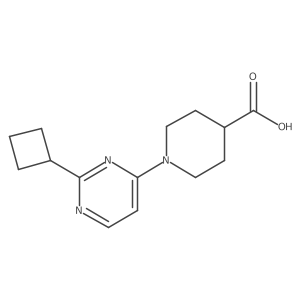 1-(2-Cyclobutylpyrimidin-4-yl)piperidine-4-carboxylic acid Structure