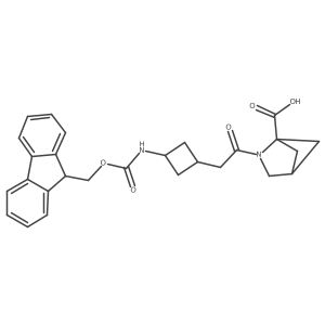 2172051-40-8 structure