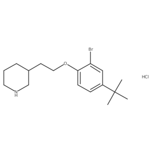 3-{2-[2-Bromo-4-(tert-butyl)phenoxy]-ethyl}piperidine hydrochloride Structure