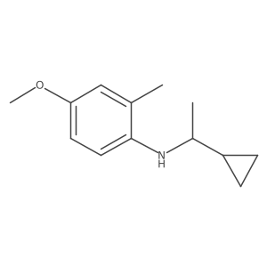 N-(1-cyclopropylethyl)-4-methoxy-2-methylaniline结构式