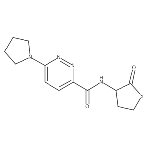 N-(2-oxotetrahydrothiophen-3-yl)-6-(pyrrolidin-1-yl)pyridazine-3-carboxamide Structure