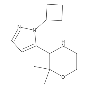3-(1-cyclobutyl-1H-pyrazol-5-yl)-2,2-dimethylmorpholine结构式