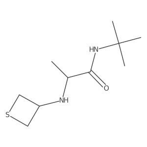 N-(tert-Butyl)-2-(thietan-3-ylamino)propanamide结构式