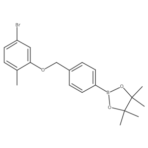 2-[4-[(5-Bromo-2-methyl-phenoxy)methyl]phenyl]-4,4,5,5-tetramethyl-1,3,2-dioxaborolane结构式